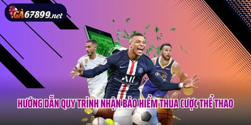 Hướng dẫn quy trình nhận bảo hiểm thua cược thể thao