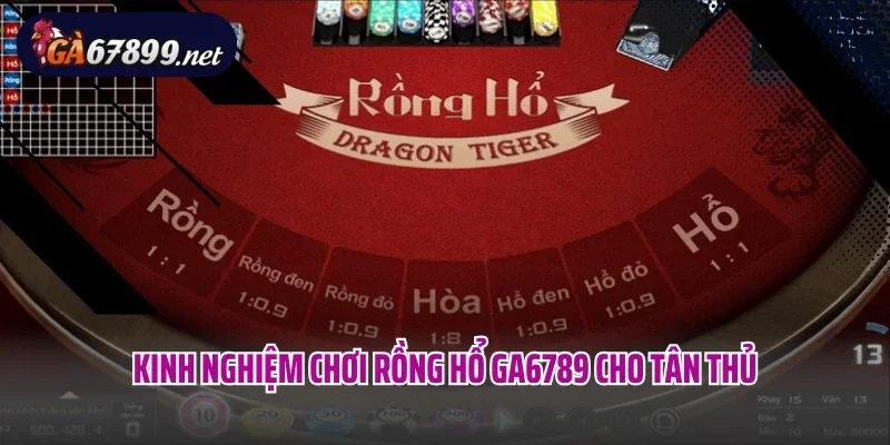 Kinh nghiệm chơi Rồng Hổ GA6789 cho tân thủ