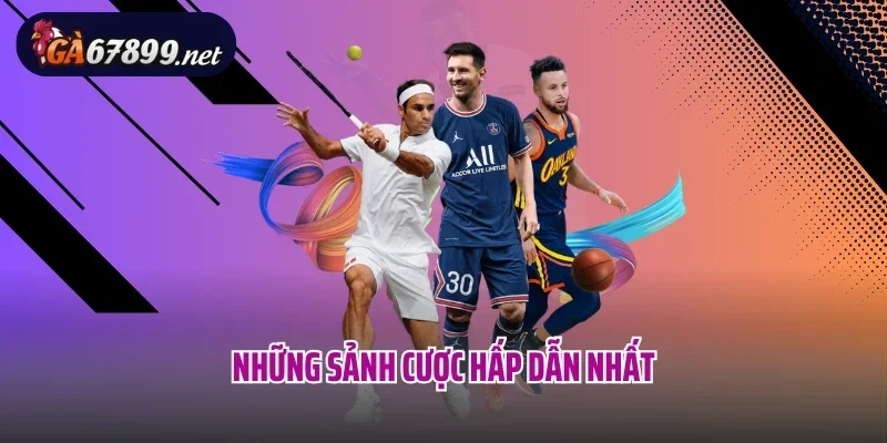 Những sảnh cược hấp dẫn nhất